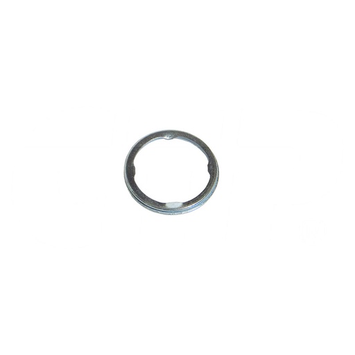 Sealing ring Jenbacher 102981